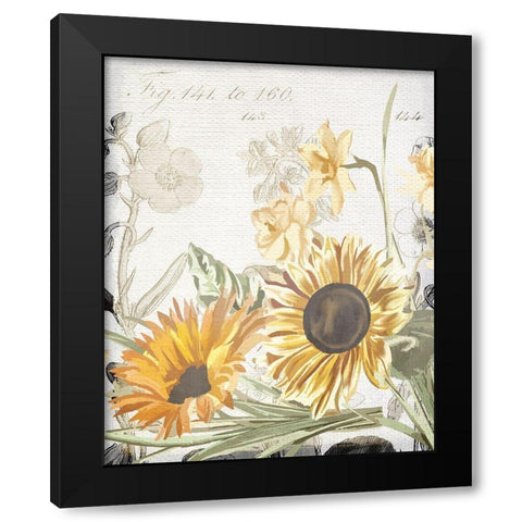Wildflower Guide 2 Black Modern Wood Framed Art Print by Allen, Kimberly