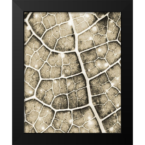 Eco Gold 1 Black Modern Wood Framed Art Print by Allen, Kimberly