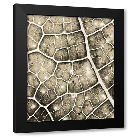 Eco Gold 2 Black Modern Wood Framed Art Print by Allen, Kimberly
