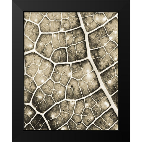 Eco Gold 2 Black Modern Wood Framed Art Print by Allen, Kimberly