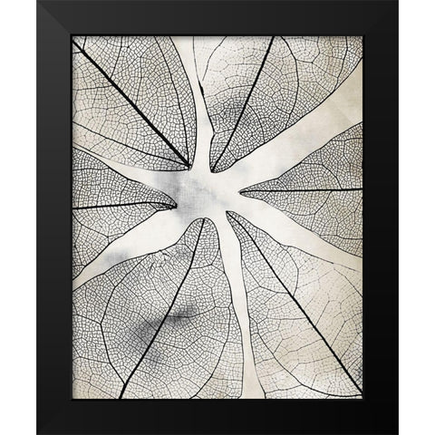 Transparent 1 Black Modern Wood Framed Art Print by Allen, Kimberly