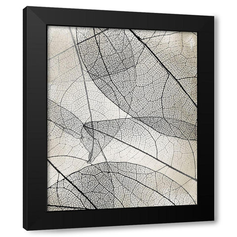 Transparent 2 Black Modern Wood Framed Art Print with Double Matting by Allen, Kimberly