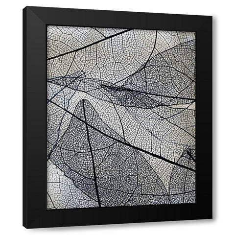 Transparent 3 v2 Black Modern Wood Framed Art Print with Double Matting by Allen, Kimberly