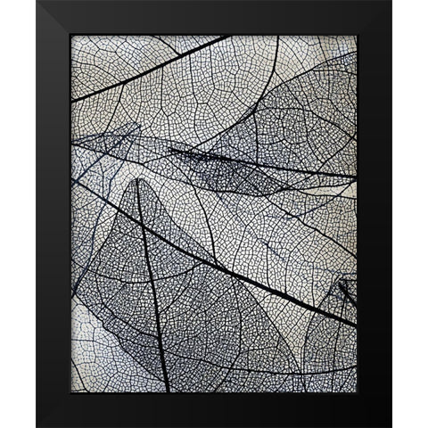 Transparent 3 v2 Black Modern Wood Framed Art Print by Allen, Kimberly
