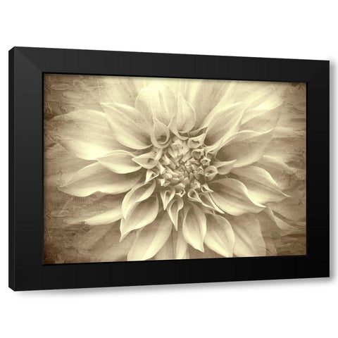 Amethyst Black Modern Wood Framed Art Print by Allen, Kimberly