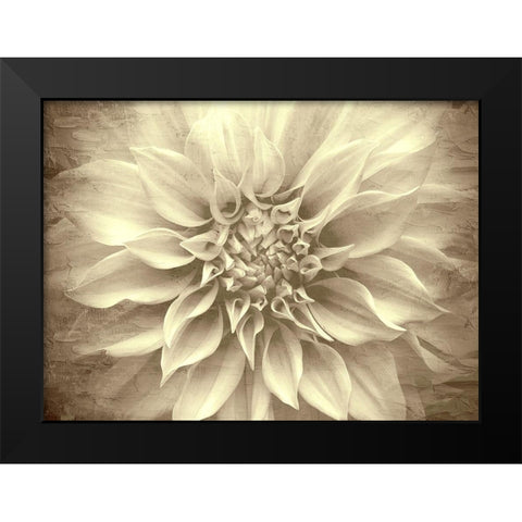 Amethyst Black Modern Wood Framed Art Print by Allen, Kimberly