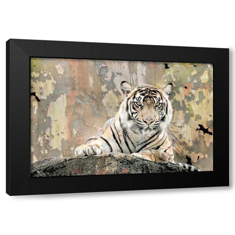 Tiger Love Black Modern Wood Framed Art Print by Allen, Kimberly