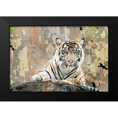 Tiger Love Black Modern Wood Framed Art Print by Allen, Kimberly