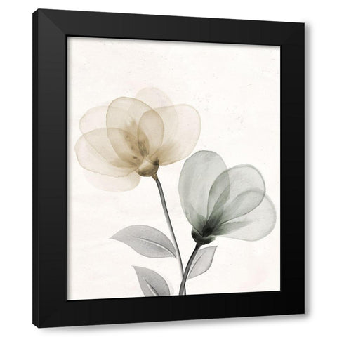 Open Bloom 1 Black Modern Wood Framed Art Print with Double Matting by Allen, Kimberly