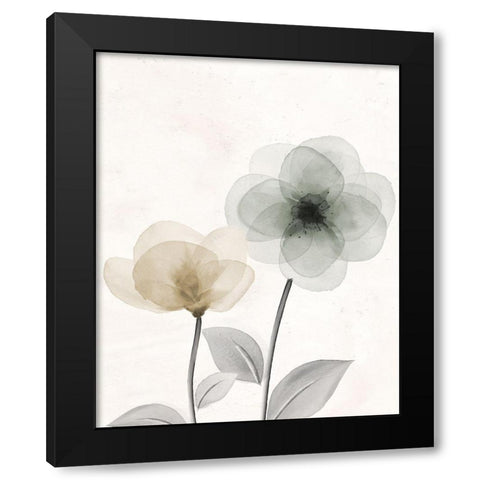 Open Bloom 2 Black Modern Wood Framed Art Print with Double Matting by Allen, Kimberly