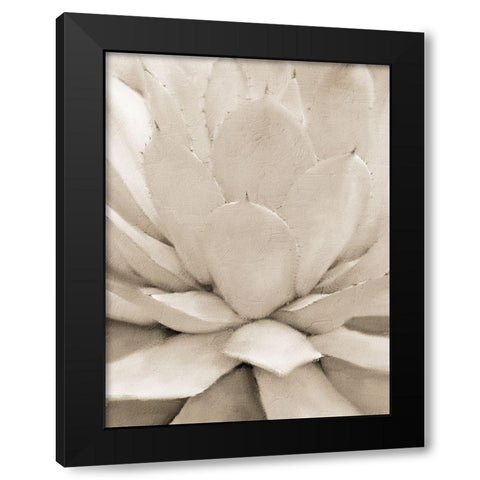 Agave Neutral 1 Black Modern Wood Framed Art Print with Double Matting by Allen, Kimberly
