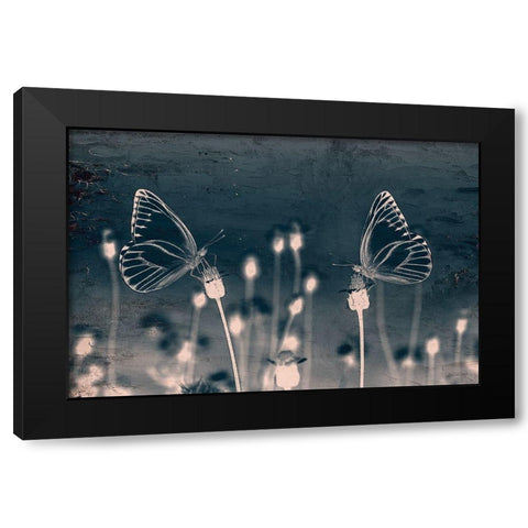 Butterfly Love Black Modern Wood Framed Art Print with Double Matting by Allen, Kimberly