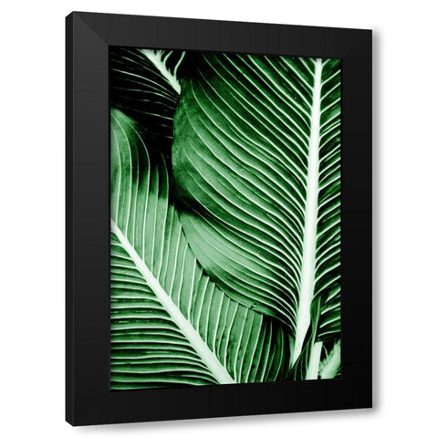 Tropical 1 Black Modern Wood Framed Art Print with Double Matting by Allen, Kimberly
