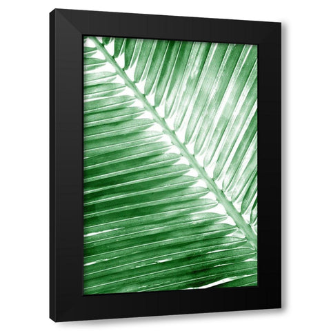 Tropical 2 Black Modern Wood Framed Art Print with Double Matting by Allen, Kimberly