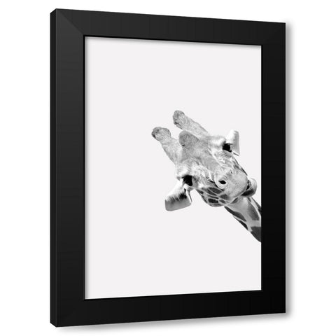 Quirky Giraffes 3 Black Modern Wood Framed Art Print with Double Matting by Allen, Kimberly