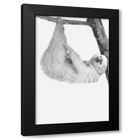 Quirky Sloths 1 Black Modern Wood Framed Art Print by Allen, Kimberly