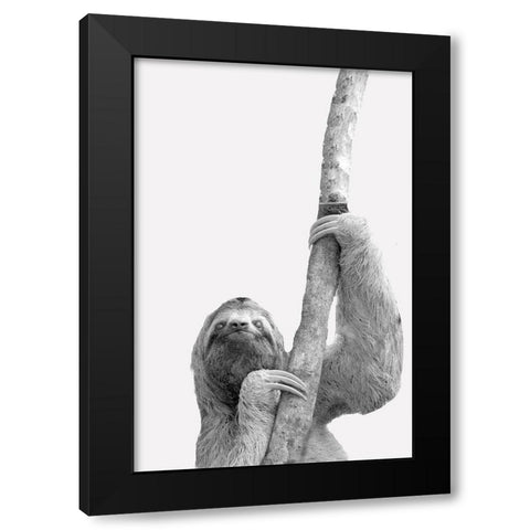 Quirky Sloths 2 Black Modern Wood Framed Art Print by Allen, Kimberly