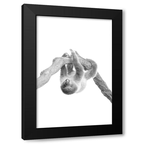 Baby Sloth 2 Black Modern Wood Framed Art Print by Allen, Kimberly
