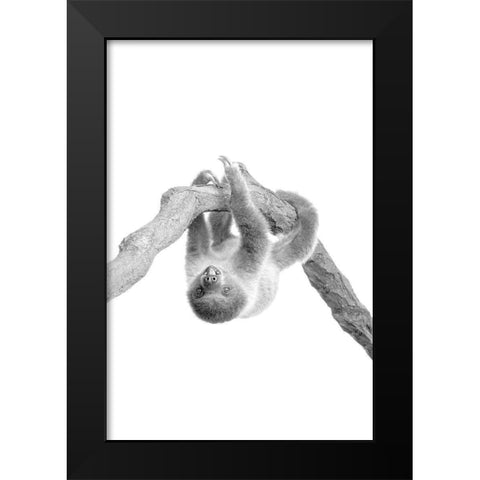 Baby Sloth 2 Black Modern Wood Framed Art Print by Allen, Kimberly