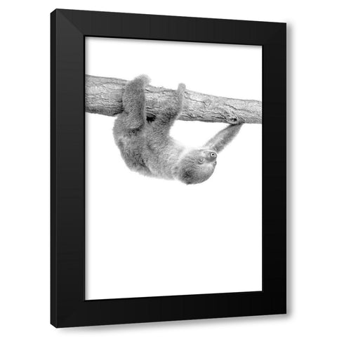 Baby Sloth 3 Black Modern Wood Framed Art Print with Double Matting by Allen, Kimberly