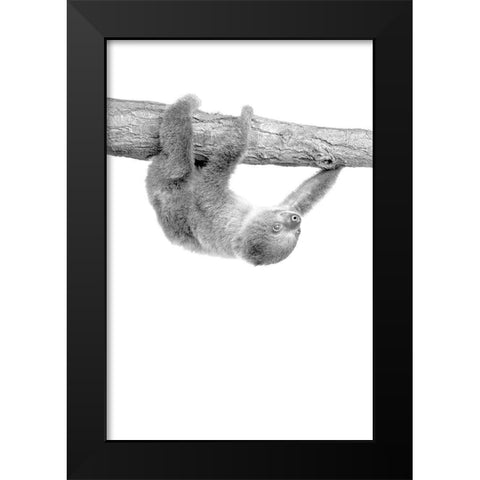 Baby Sloth 3 Black Modern Wood Framed Art Print by Allen, Kimberly