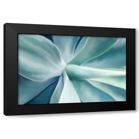 Agave Black Modern Wood Framed Art Print with Double Matting by Allen, Kimberly