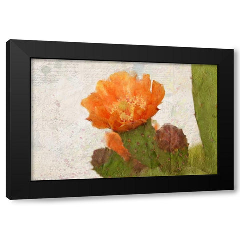 Cacti Flower Black Modern Wood Framed Art Print with Double Matting by Allen, Kimberly