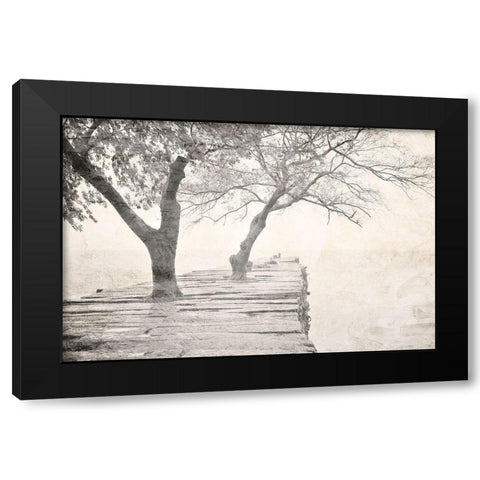 Tree Pier Black Modern Wood Framed Art Print by Allen, Kimberly