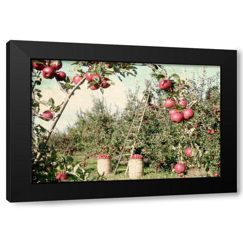 Apple Orchard Black Modern Wood Framed Art Print by Allen, Kimberly