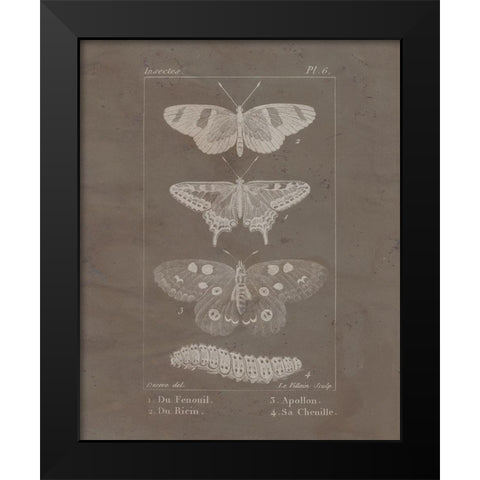 Vintage Insect 1 Black Modern Wood Framed Art Print by Allen, Kimberly
