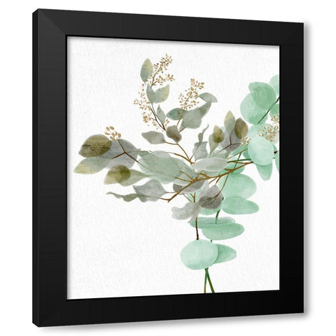 Eucalyptus 1 Black Modern Wood Framed Art Print with Double Matting by Allen, Kimberly