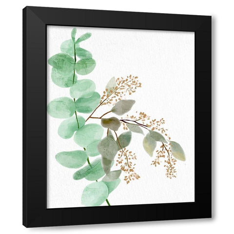 Eucalyptus 2 Black Modern Wood Framed Art Print with Double Matting by Allen, Kimberly