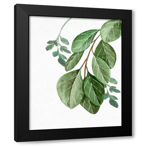 Greens 1 Black Modern Wood Framed Art Print with Double Matting by Allen, Kimberly