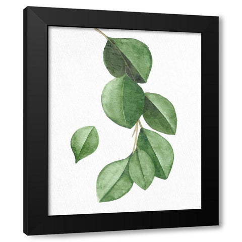 Greens 3 Black Modern Wood Framed Art Print by Allen, Kimberly