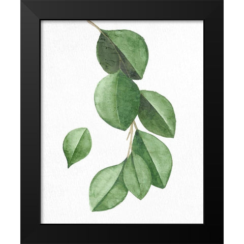 Greens 3 Black Modern Wood Framed Art Print by Allen, Kimberly
