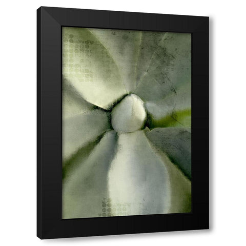 Agave Center Black Modern Wood Framed Art Print with Double Matting by Allen, Kimberly