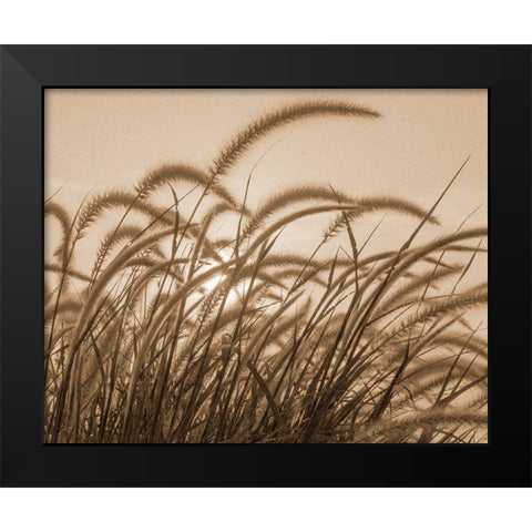 Reeds Black Modern Wood Framed Art Print by Allen, Kimberly