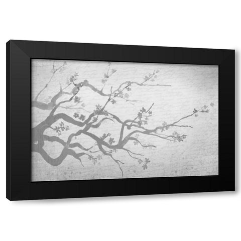 Cherry Blossom Branch in Silver Black Modern Wood Framed Art Print with Double Matting by Allen, Kimberly
