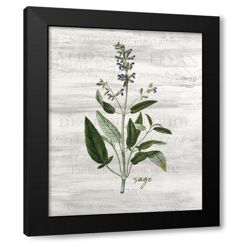 Fresh Cut Herbs 2 Black Modern Wood Framed Art Print by Allen, Kimberly