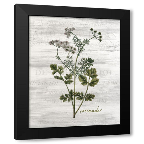 Fresh Cut Herbs 3 Black Modern Wood Framed Art Print with Double Matting by Allen, Kimberly