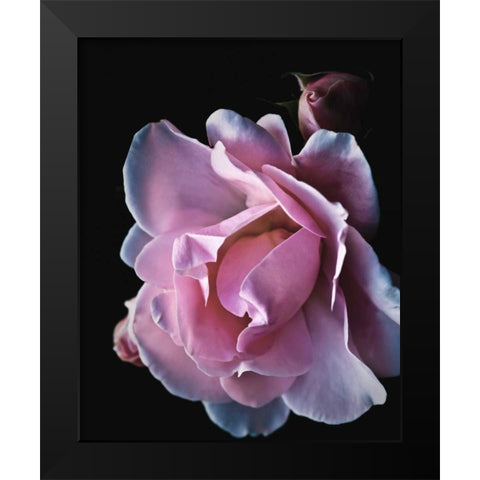 Floral Closeup 2 Black Modern Wood Framed Art Print by Allen, Kimberly