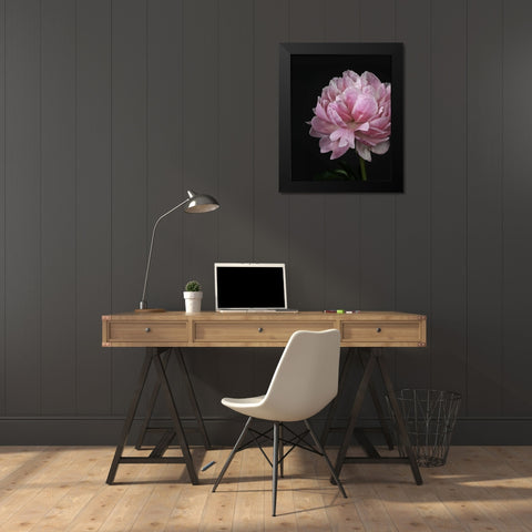 Floral Closeup 4 Black Modern Wood Framed Art Print by Allen, Kimberly