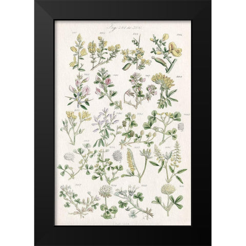 Wildflower Field Guide Black Modern Wood Framed Art Print by Allen, Kimberly