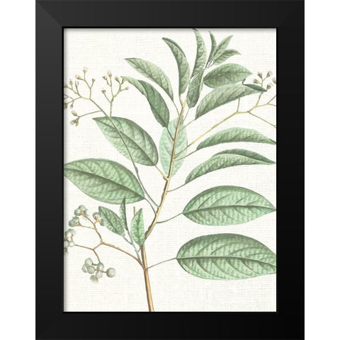 Branch 1 Black Modern Wood Framed Art Print by Allen, Kimberly