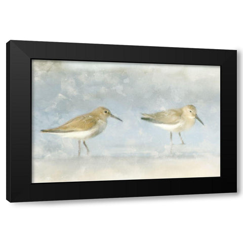 Sandpiper Beach Black Modern Wood Framed Art Print with Double Matting by Allen, Kimberly