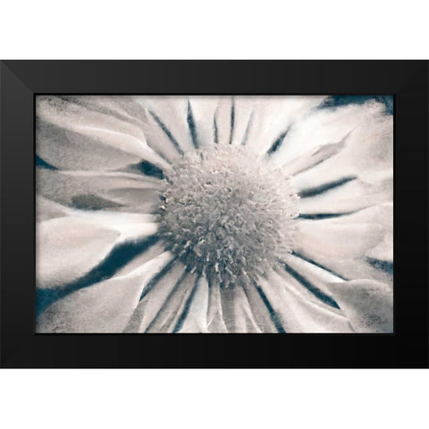Marguerite Black Modern Wood Framed Art Print by Allen, Kimberly