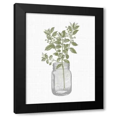 Jar Herbs 2 Black Modern Wood Framed Art Print with Double Matting by Allen, Kimberly