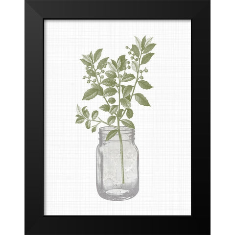 Jar Herbs 2 Black Modern Wood Framed Art Print by Allen, Kimberly