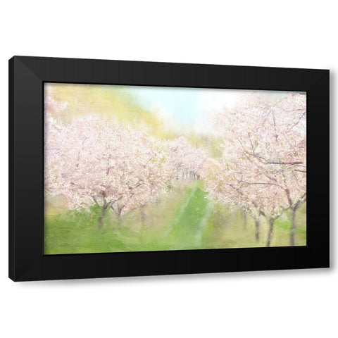 Springtime Farm Black Modern Wood Framed Art Print by Allen, Kimberly