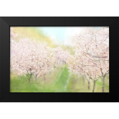 Springtime Farm Black Modern Wood Framed Art Print by Allen, Kimberly